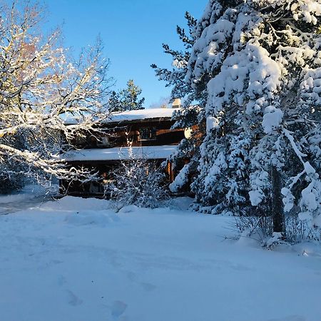 Kibuvitsa Holiday House Muratsi Екстериор снимка